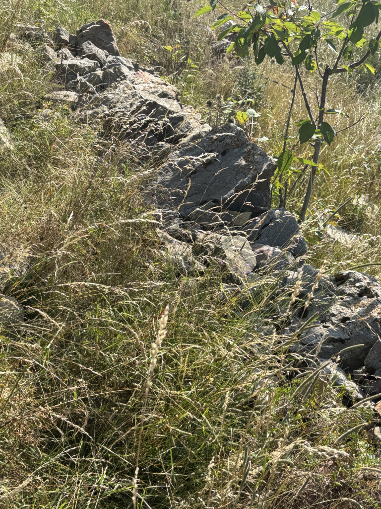 Mur perimetral que forma part d'una de les feixes del seu entorn