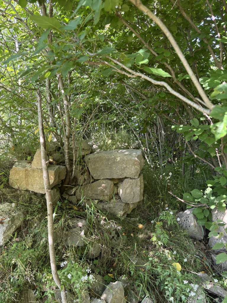 Interior de la casa que es troba derruït