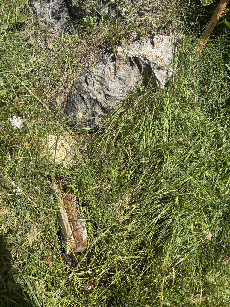 Canal on brolla l'aigua de la font