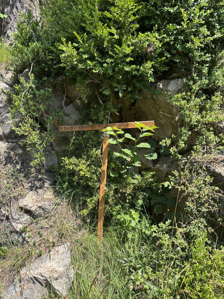 La Creu existent a la font