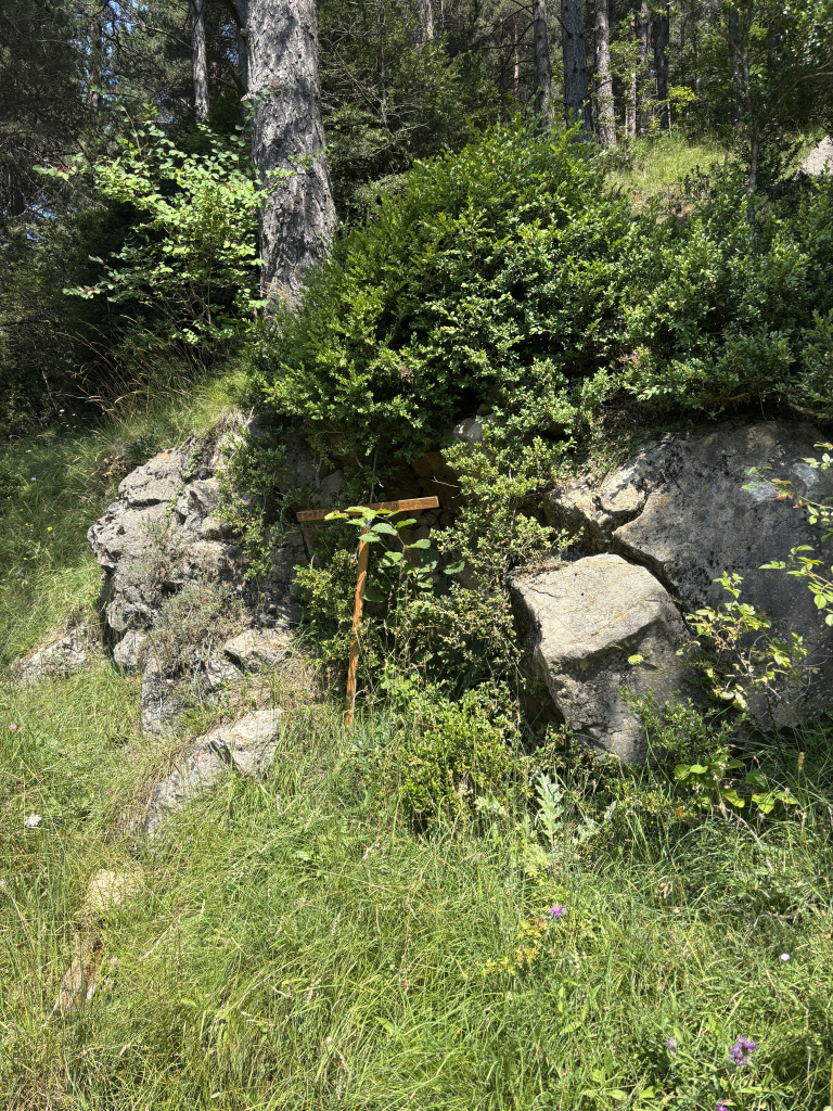 Imatge lateral de la font de la Capucha