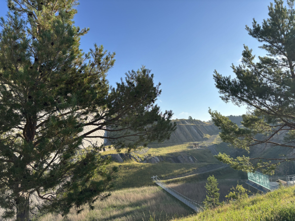 Imatge de part del coll de Fumanya