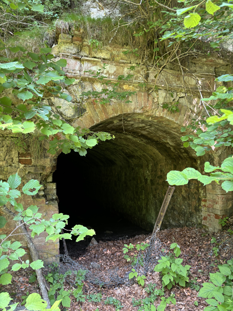 Entrada de la mina en forma de bocamina