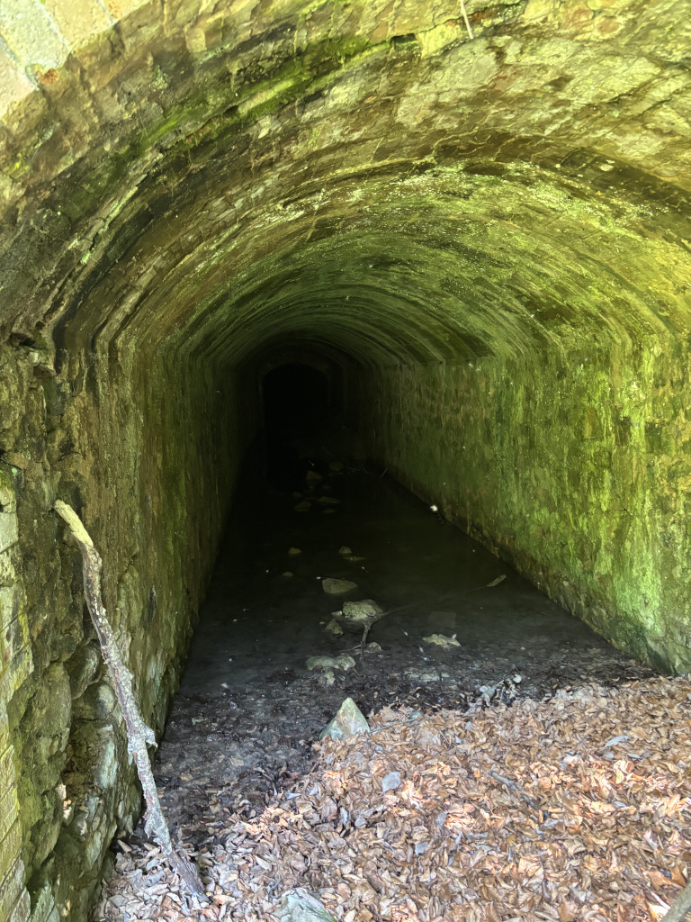 Túnel existent de la mina Eurkea afectat per la vegetació