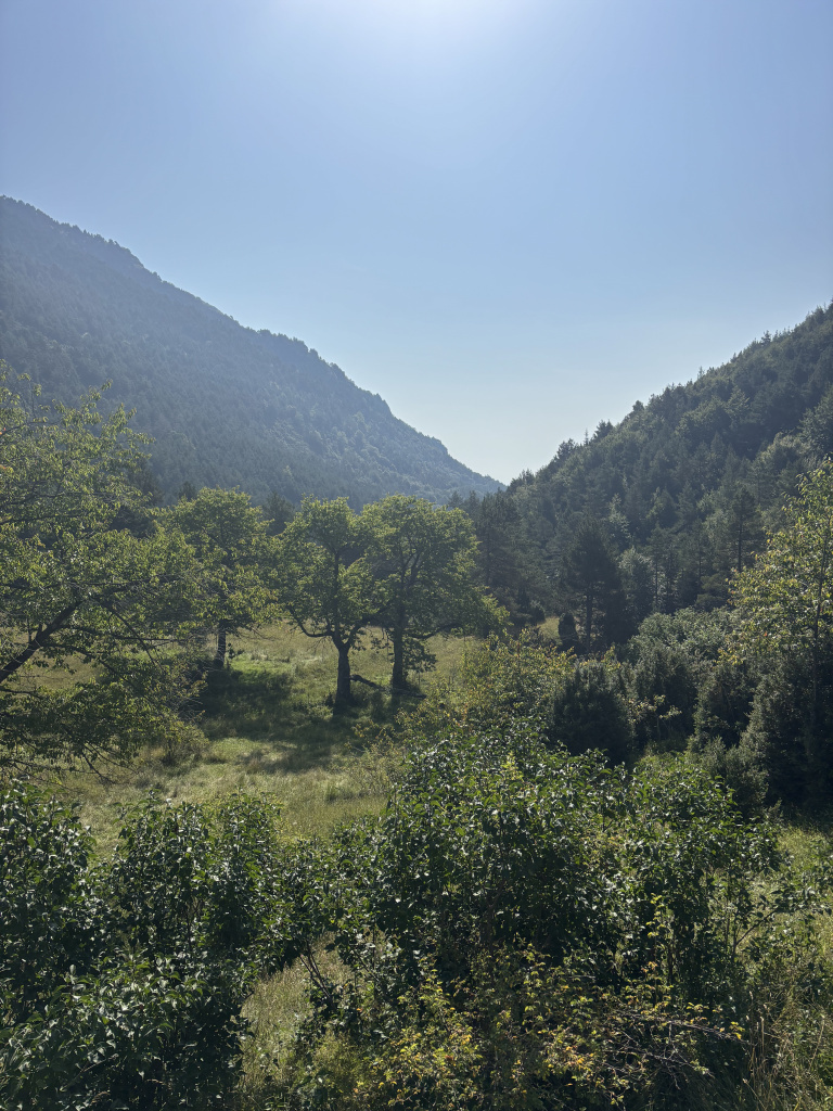 Imatge de la zona del molí de Peguera.