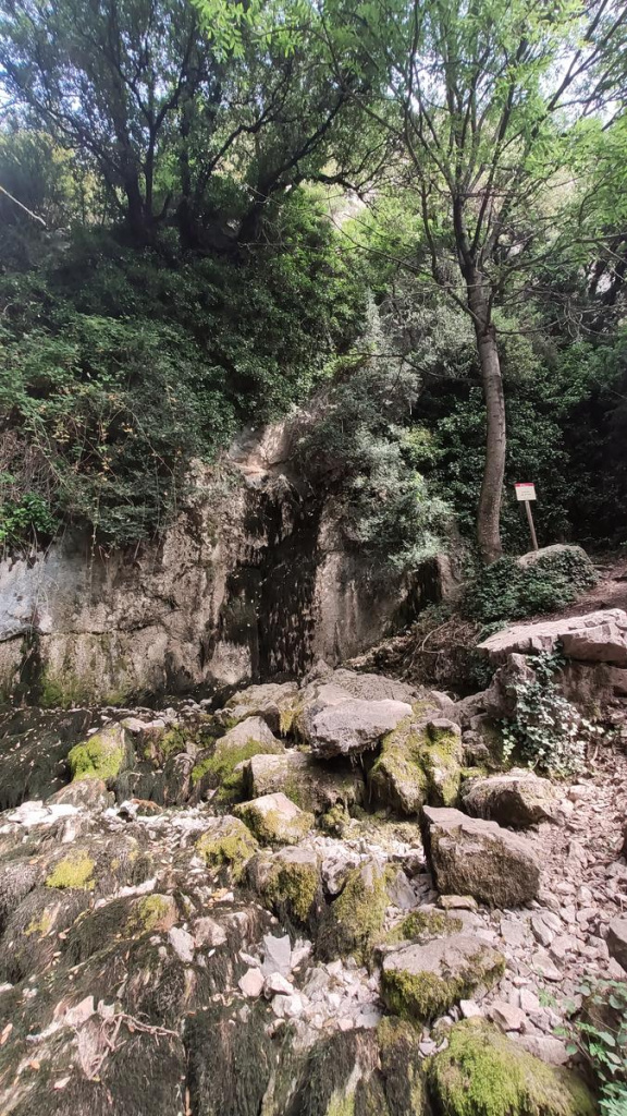 Vegetació i roques a la Font del Bullidor
