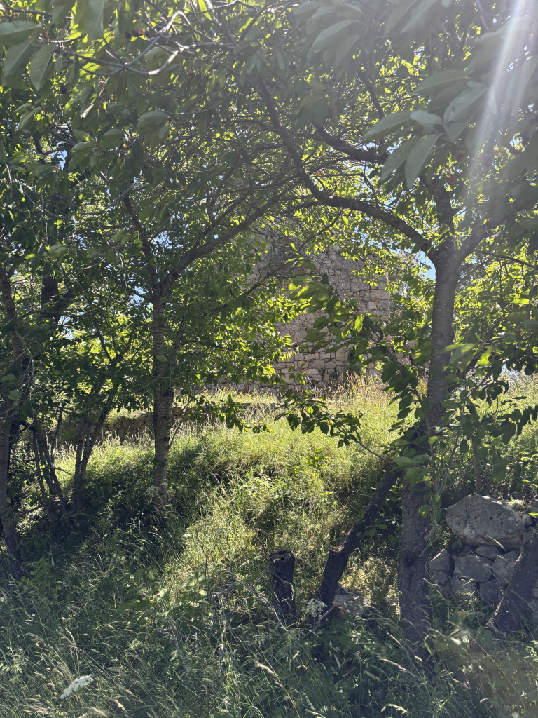 Entre la vegetació s'entreveu la façana principal de l'església
