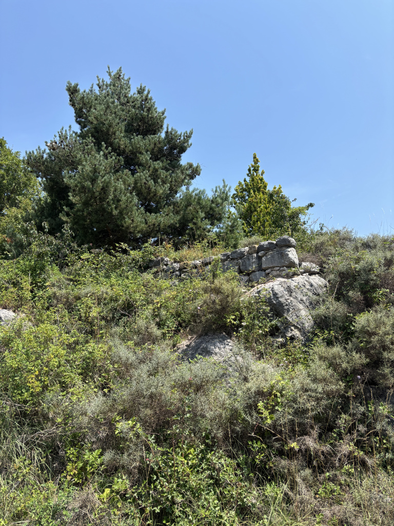 Imatge de les restes del mur de l'antic castell
