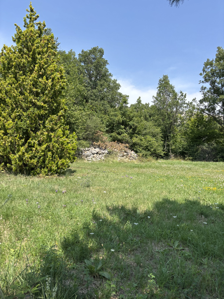 Restes del castell de Fígols