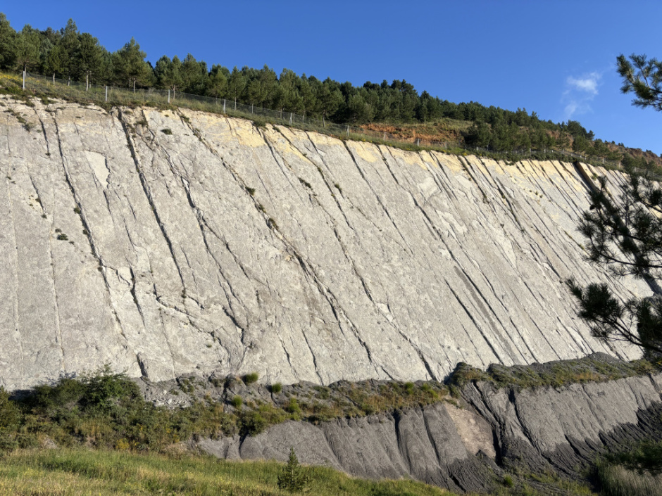 Paret on s'hi identifiquen les diverses petjades de dinosaures