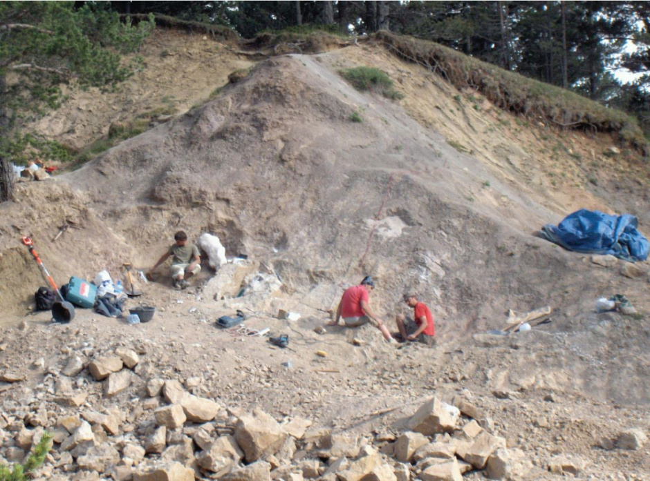 Imatge de l'excavació de l'any 2007 del Jaciment de Peguera-1. Fotografia d'Àngel Galobart (2007)