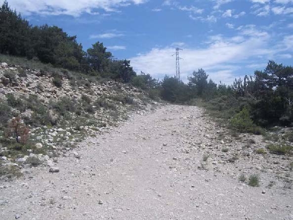 Imatge de la pista forestal