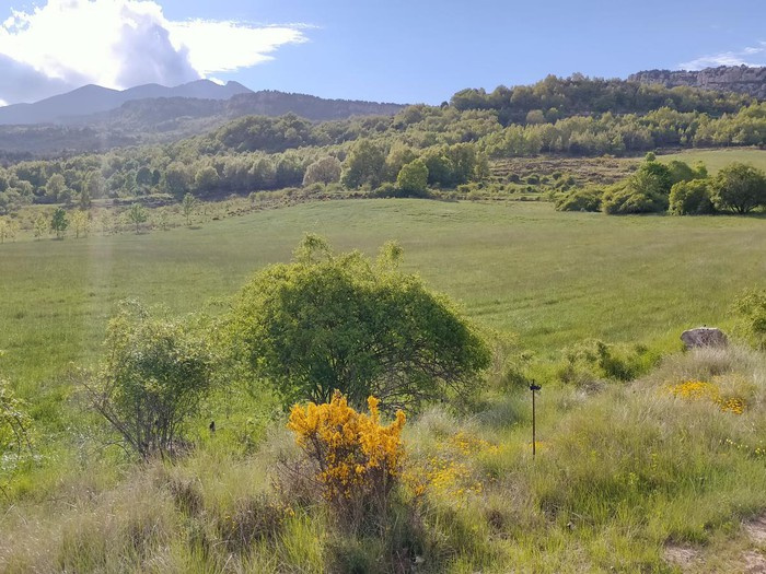 Imatge de l'entorn de cal Moixó de Fígols