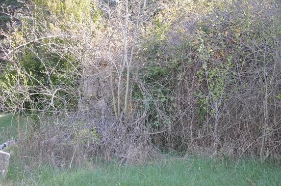 Un annexe existent enmig de la vegetació