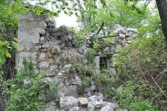 Part de l'edificació afectada per la vegetació