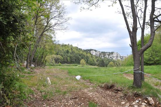 Camí d'accés vallat