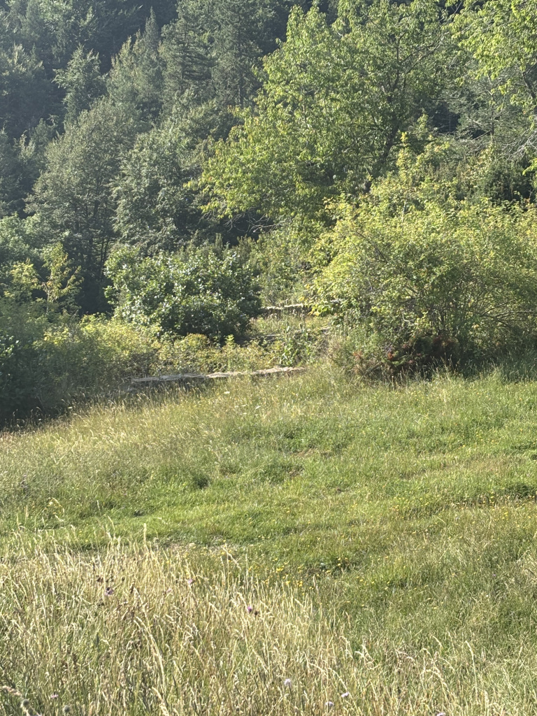 Imatge de la bassa o cisterna externa del conjunt