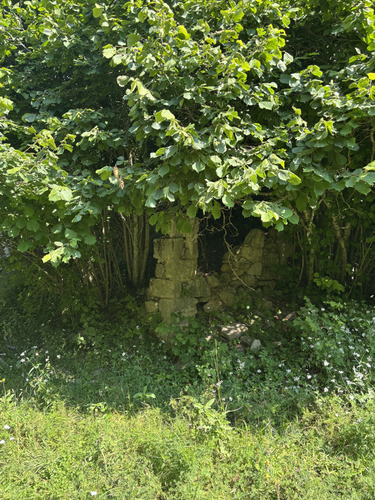 Imatge d'una de les parets existents de cal Frare