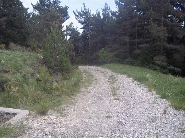 Vista del tram del camí vell de Peguera