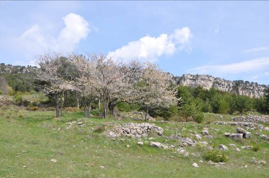 Vista general de la localització de l'antiga masia