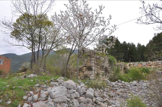 Restes de l'antiga masia de Cal Bassó