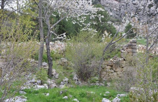 Restes de murs de l'antiga edificació