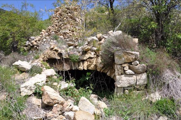 Volta amb la vegetació abundant que tanca les restes