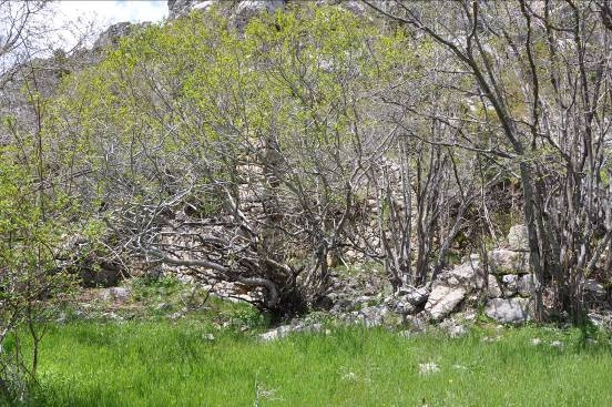 Restes de la casa i edifici