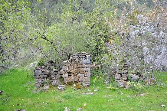 Imatge d'un dels murs conservats de la masia en estat de degradació