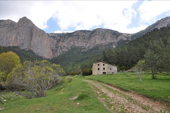 Vista panoràmica de la Plana