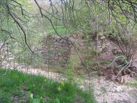 Mur de l'edifici afectat per la vegetació abundant