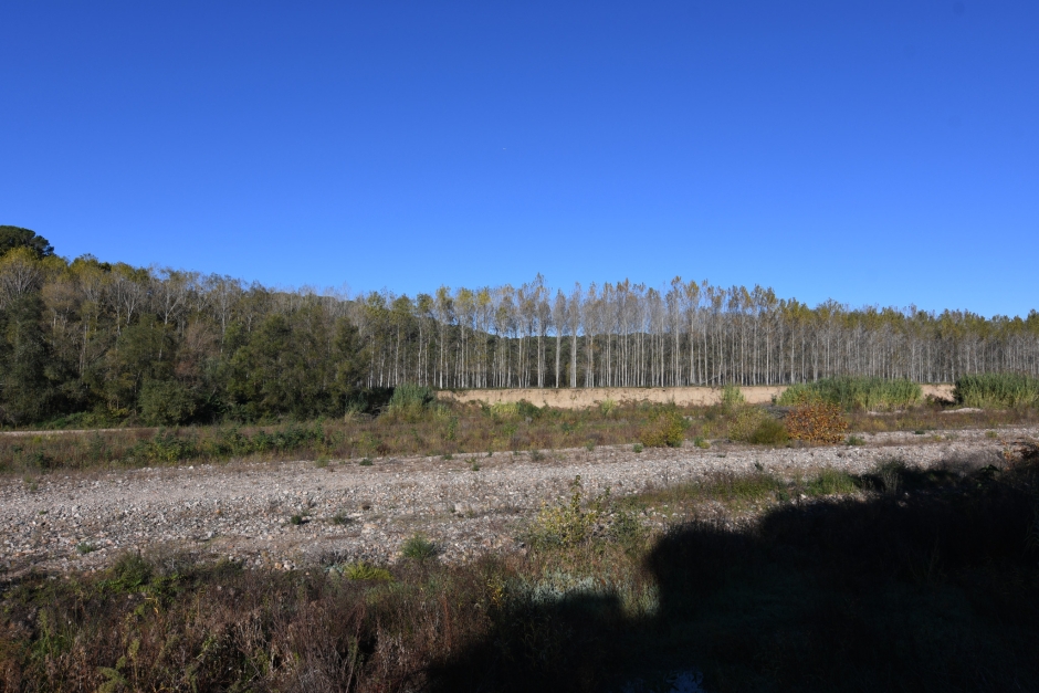 La Tordera. Zona del Pla de Can Gelmà.