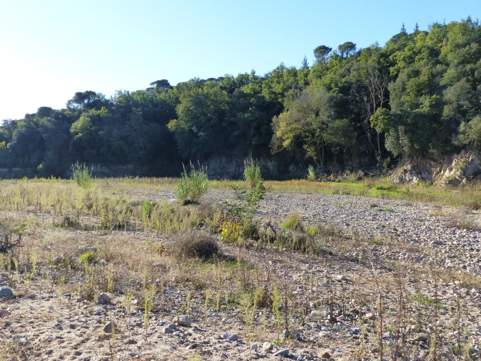 La Tordera. Detall del material sedimentari i còdols. 