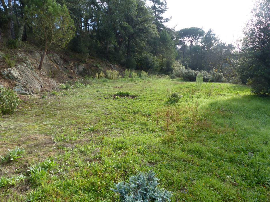 Pla per estendre l'obra abans de coure.