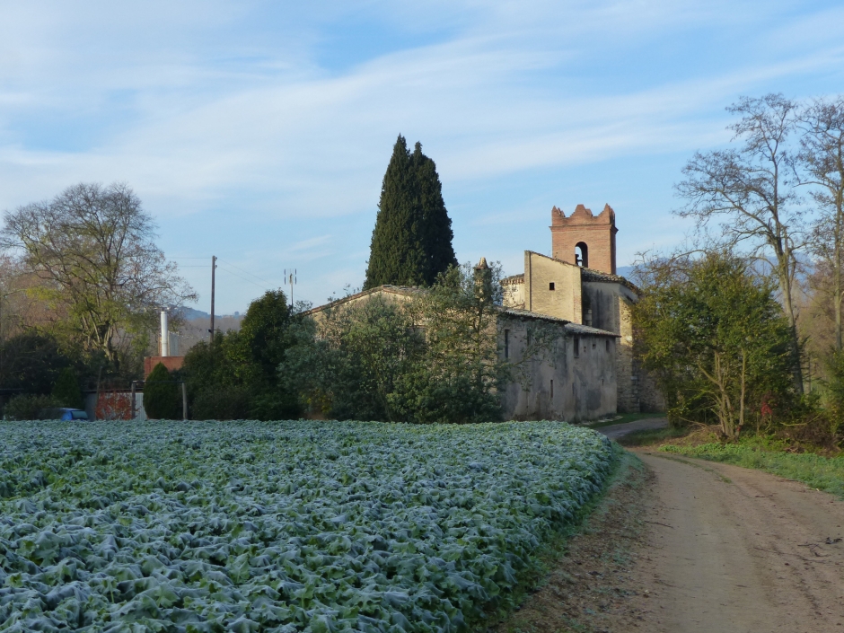 Jaciment arqueològic de Sant Cebrià. Àrea d'expectativa arqueològica.