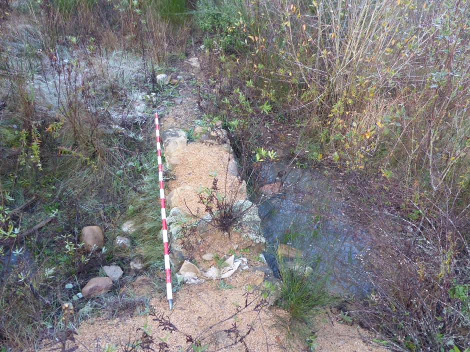  Jaciment del Pla del Reclam. Restes excavades entremig de la vegetació.