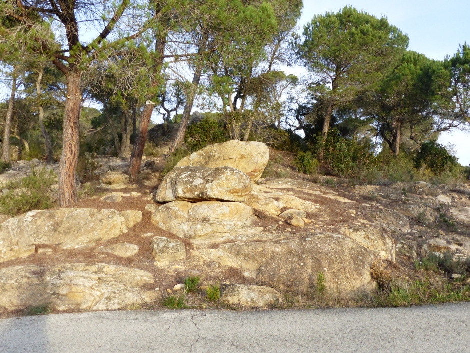 La Pedra del Cec.