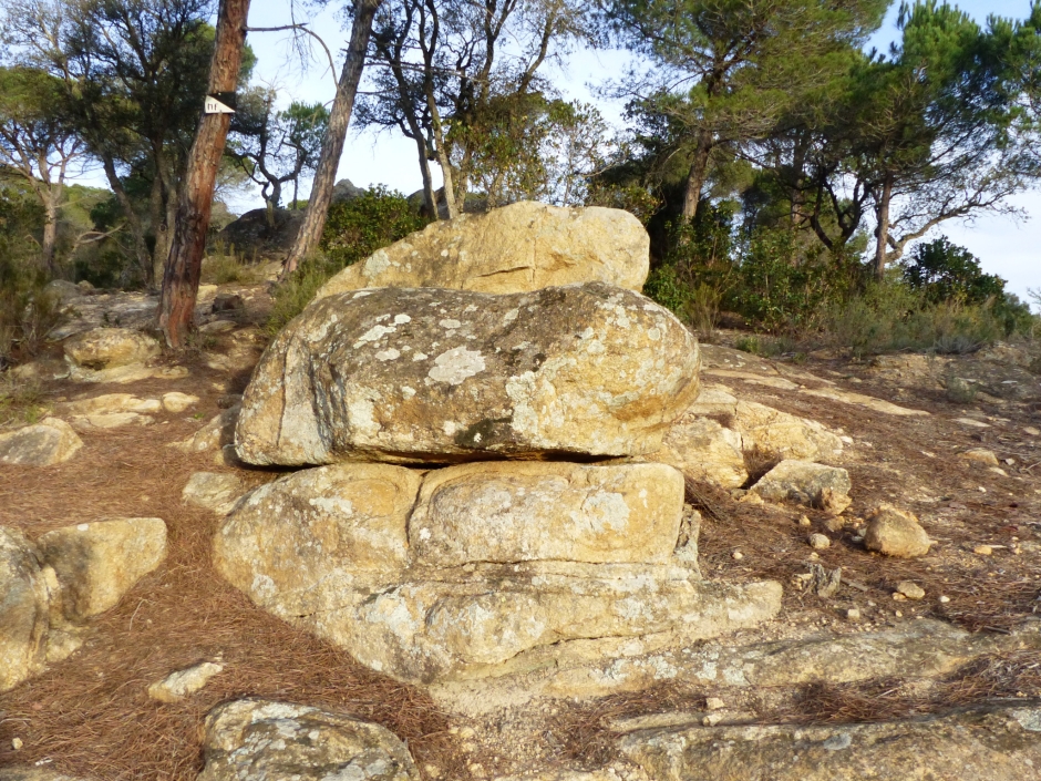 La Pedra del Cec. Detall.