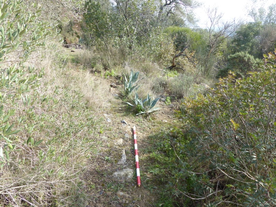 Restes de l'ermita de Sant Corneli.