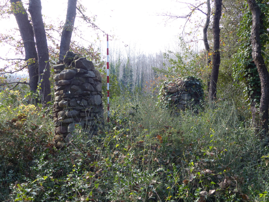 Forn d'obra de la Torre de la Casa Blanca envoltat de vegetació.