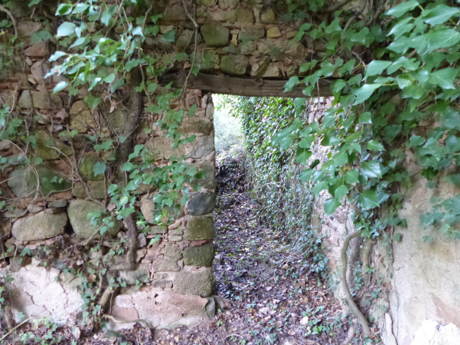 Can Mestric. Detall d'una porta amb el muntant de pedra i la llinda de fusta que encara es conserven dempeus.