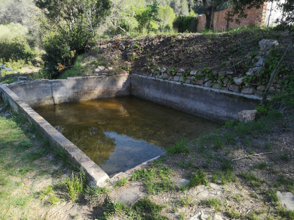 Bassa secundària del voltant.