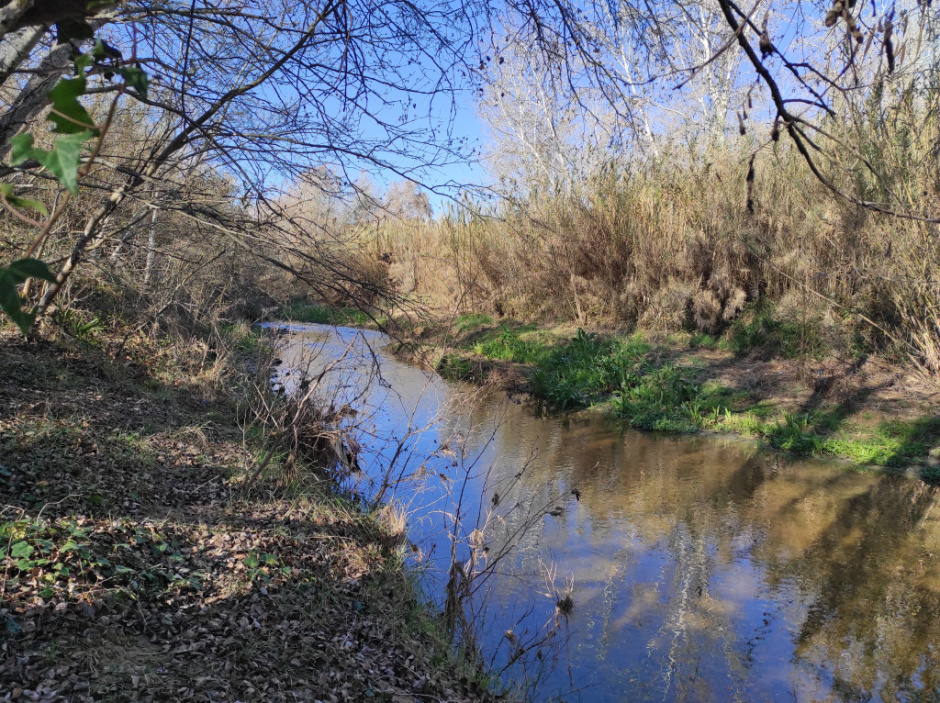 Zona de desembocadura de la Rierussa a l'Anoia