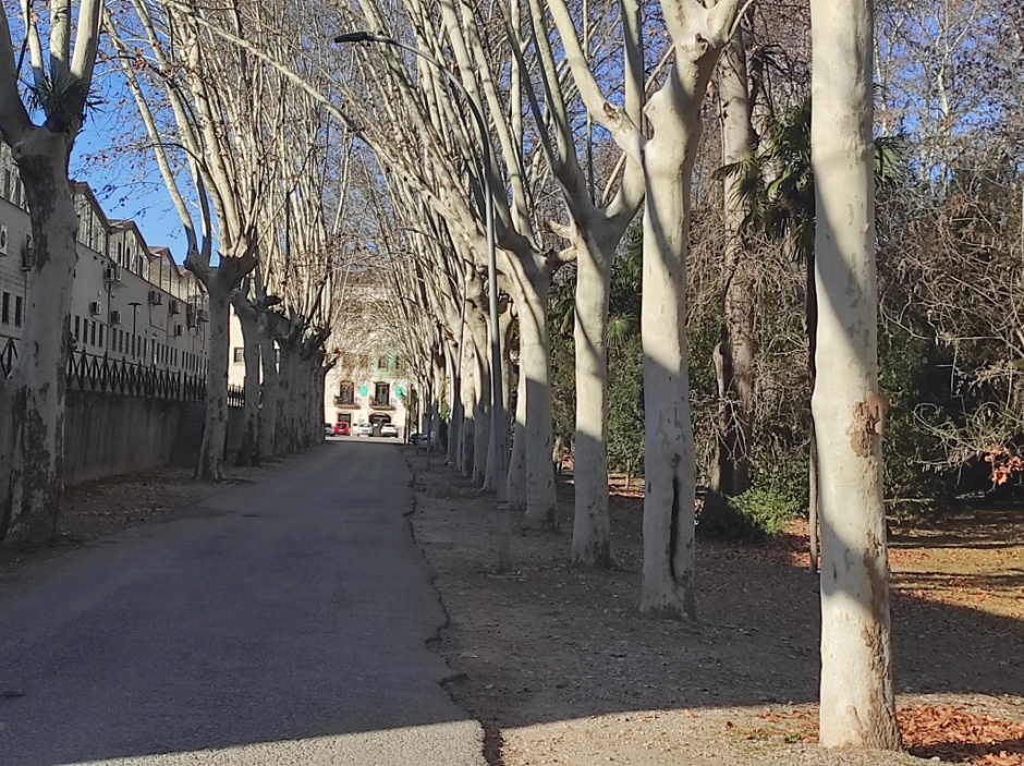 Entrada de La Gelidense, un dels nuclis, juntament amb la Fàbrica Guarro en el que la concentració nombrosa de treballadors històricament, va desenvolupar amb algunes tradicions pròpies que van acabar per exportar-se al poble. 