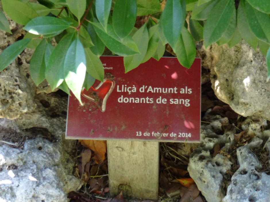 Als donants de sang