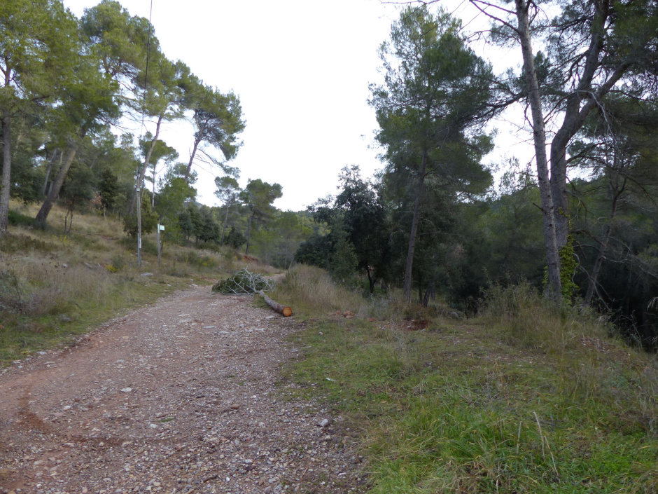 Sender blau. Camí de Can Prat al Torrent dels Abeuradors.