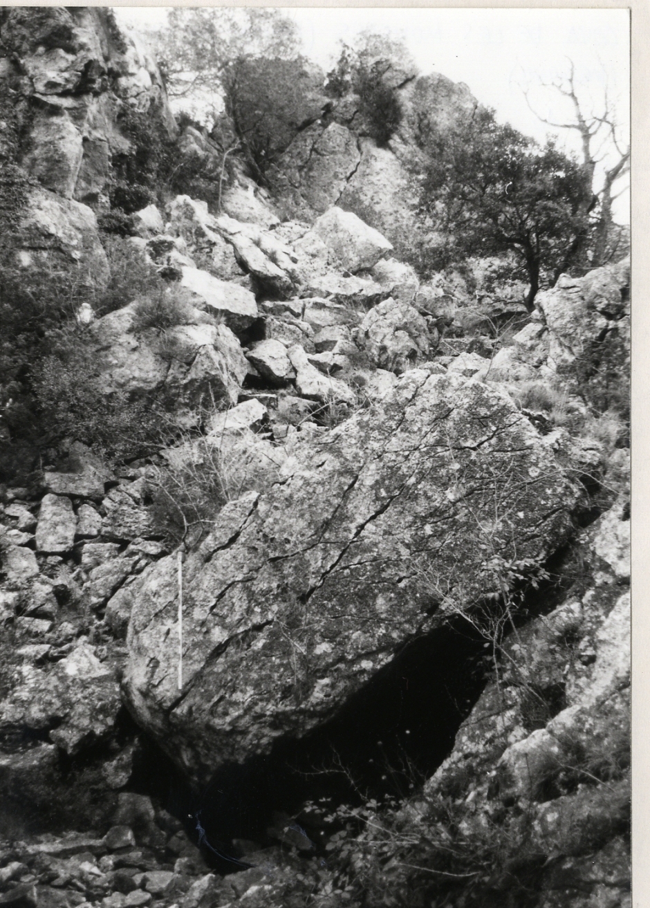 Vista general de l'entrada de la cova. Foto: G. Ribé, A. Cebrià; M.R. Senabre. Inventari del Patrimoni Arqueològic de Catalunya.