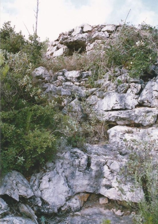 Vista general de la barraca. Fotografia: Drac Verd de Sitges. Wikipedra.