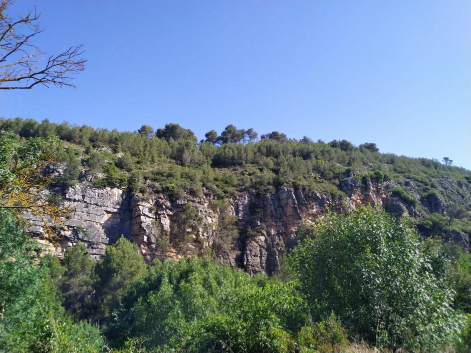 Imatge de context del jaciment des de la riba dreta (sud) de la riera de Mediona.
