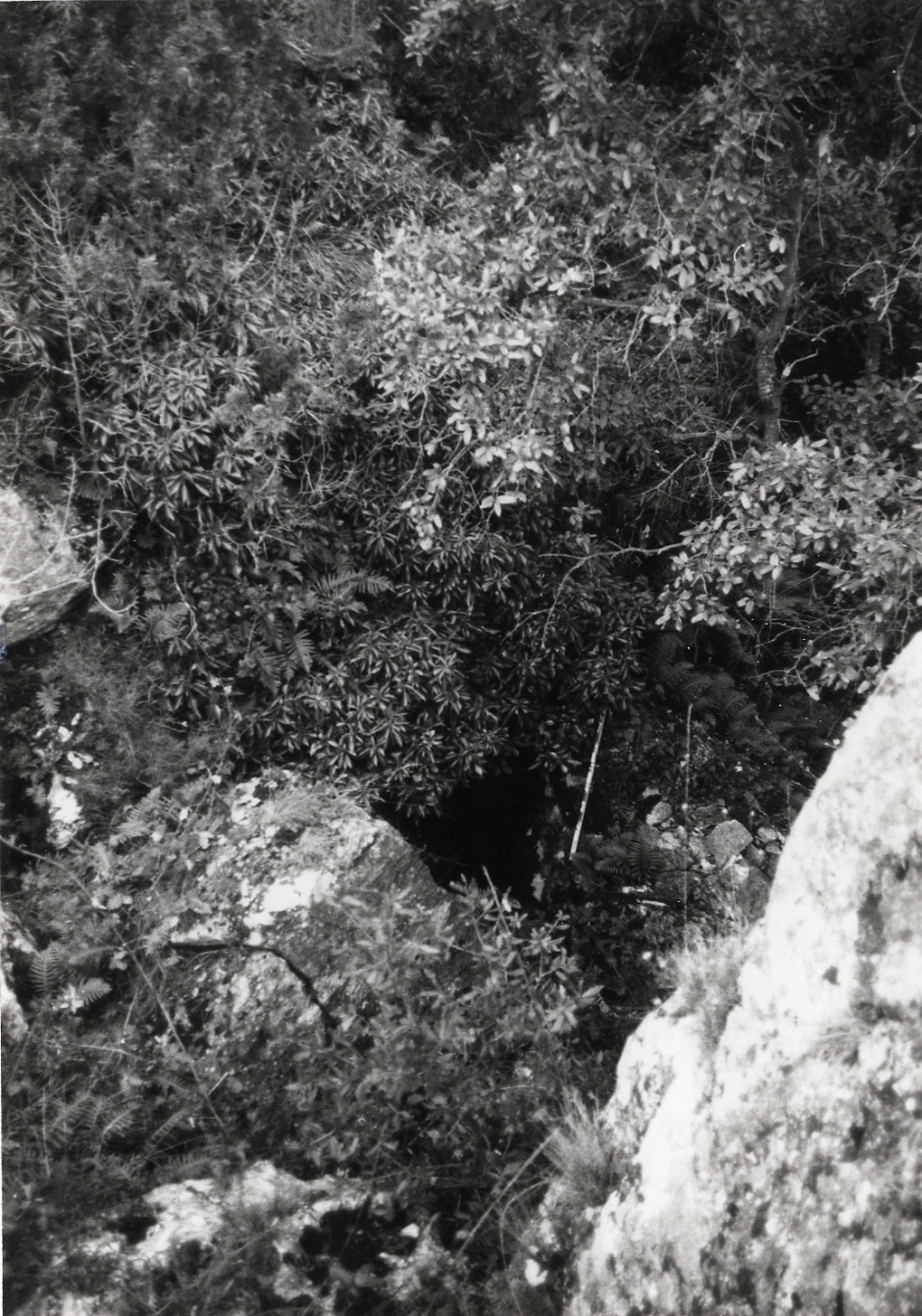 Vista de l'entrada de la cavitat. Foto: G. Ribé, A. Cebrià; M.R. Senabre. Inventari del Patrimoni Arqueològic de Catalunya.